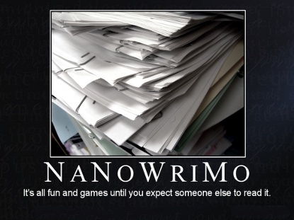 Nanowrimo 2008